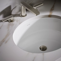 VERTICYL® OVAL UNDERMOUNT BATHROOM SINK - robinsonco.ca