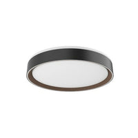 ESSEX 16" LED FLUSH MOUNT