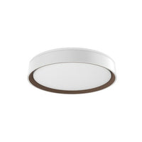 ESSEX 16" LED FLUSH MOUNT - robinsonco.ca