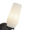 KRYSTA 10-IN WALL/VANITY LIGHT - robinsonco.ca