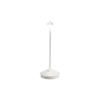 PINA PRO TABLE LAMP - robinsonco.ca