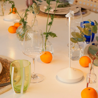 PINA PRO TABLE LAMP - robinsonco.ca