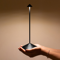 PINA PRO TABLE LAMP - robinsonco.ca