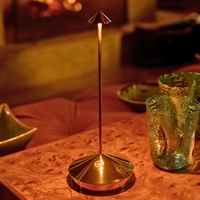 PINA PRO TABLE LAMP - robinsonco.ca