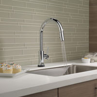 TRINSIC® VOICEIQ SINGLE-HANDLE PULL-DOWN KITCHEN FAUCET TOUCH2O - robinsonco.ca
