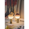 DIPPING LIGHT PORTABLE LAMP - robinsonco.ca