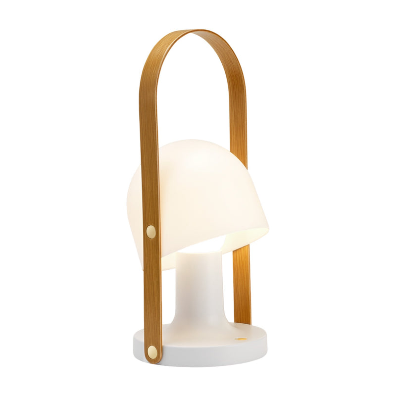 FOLLOWME PLUS PORTABLE TABLE LAMP - robinsonco.ca