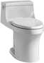 SAN SOUCI® COMFORT HEIGHT® ONE-PIECE COMPACT ELONGATED 1.28 GPF TOILET WITH AQUAPISTON® FLUSHING TECHNOLOGY, Ice Grey, small